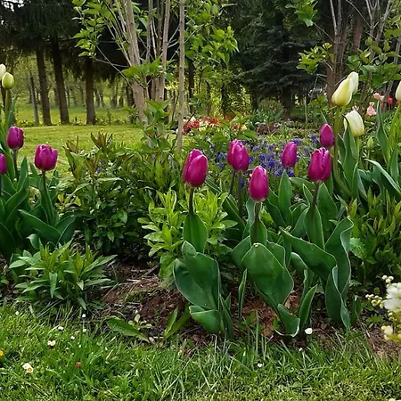 Çiftlik konaklama U Przewodnikow - Zwiedzaczek