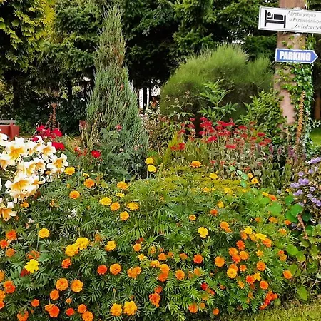 U Przewodnikow - Zwiedzaczek *