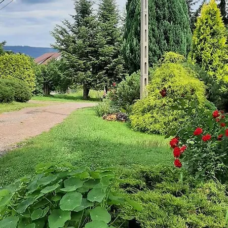 Çiftlik konaklama U Przewodnikow - Zwiedzaczek