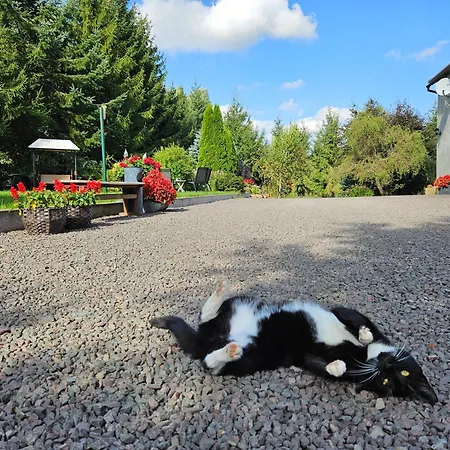 U Przewodnikow - Zwiedzaczek Çiftlik konaklama *