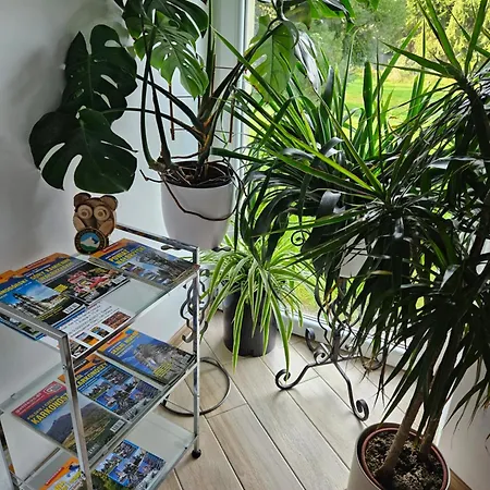 Çiftlik konaklama U Przewodnikow - Zwiedzaczek *