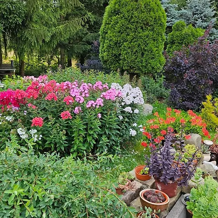 U Przewodnikow - Zwiedzaczek Çiftlik konaklama *