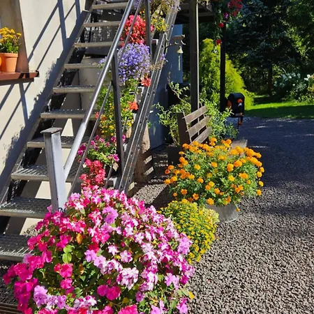 Çiftlik konaklama U Przewodnikow - Zwiedzaczek *