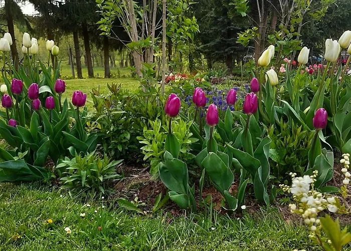 Farm stay U Przewodnikow - Zwiedzaczek