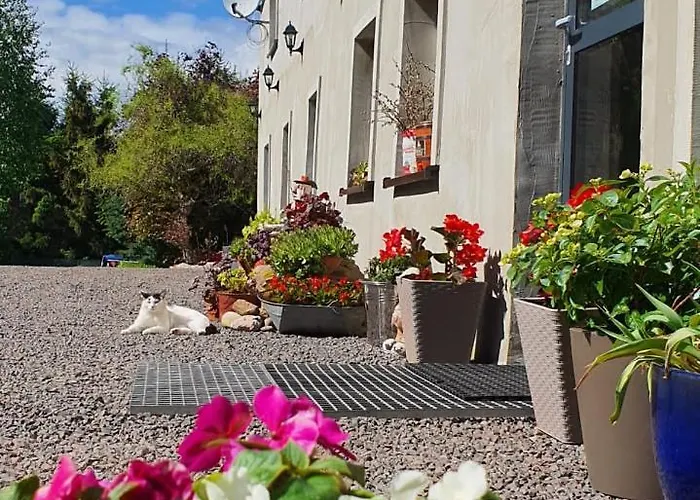 U Przewodnikow - Zwiedzaczek Farm stay *