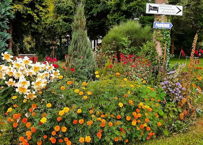 U Przewodnikow - Zwiedzaczek *