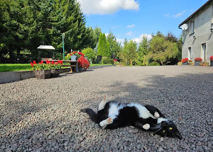 U Przewodnikow - Zwiedzaczek Farm stay *