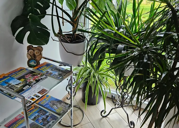 Farm stay U Przewodnikow - Zwiedzaczek *