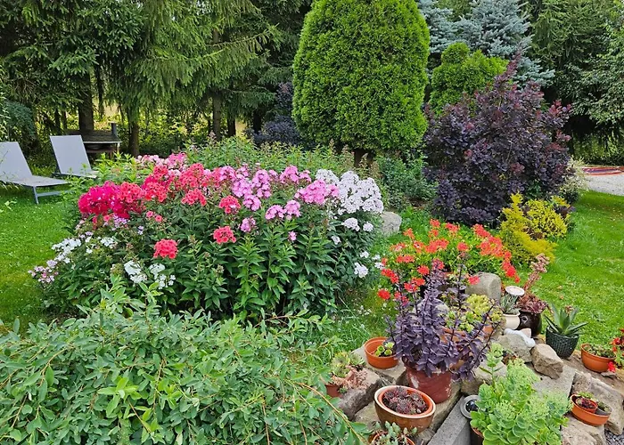 U Przewodnikow - Zwiedzaczek Farm stay *