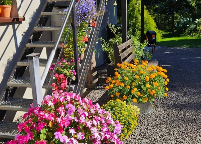 Farm stay U Przewodnikow - Zwiedzaczek *